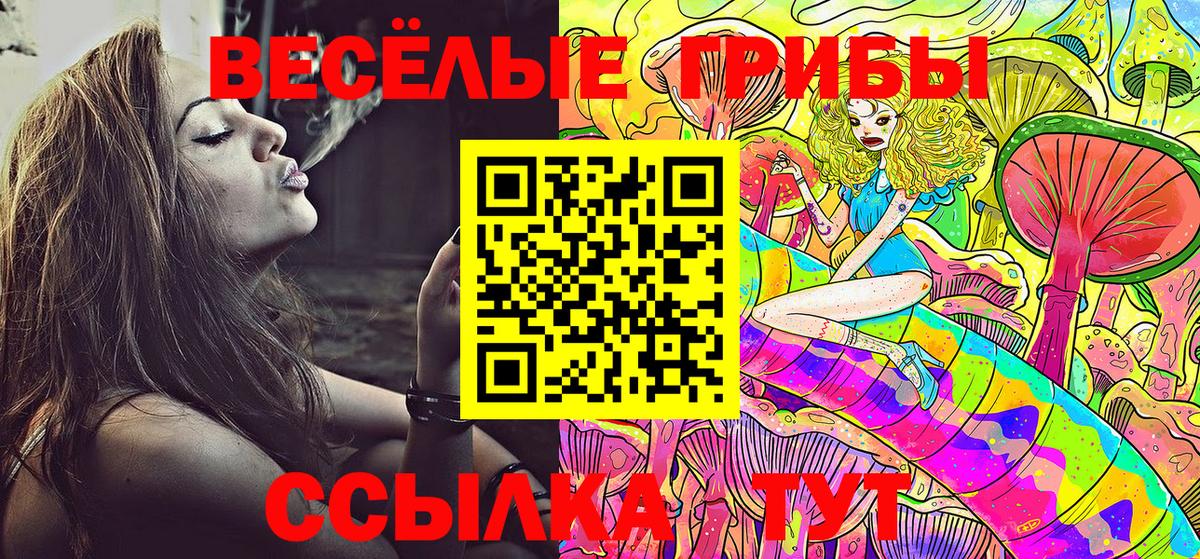 Галлюциногенные грибы Cubensis  Вход с VPN  Псилоцибиновые грибы мухоморы  Обь 
