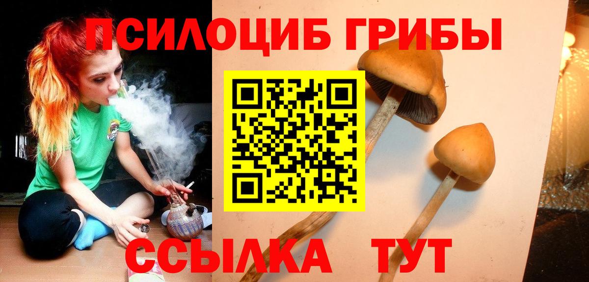 Галлюциногенные грибы мицелий Обь
