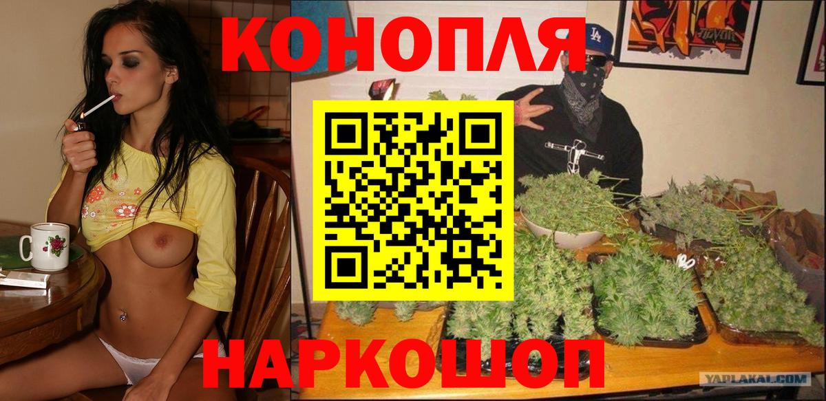 Каннабис тримм  Вход с VPN  Конопля планчик  Бошки марихуана индика  Обь  Шишки марихуана планчик 
